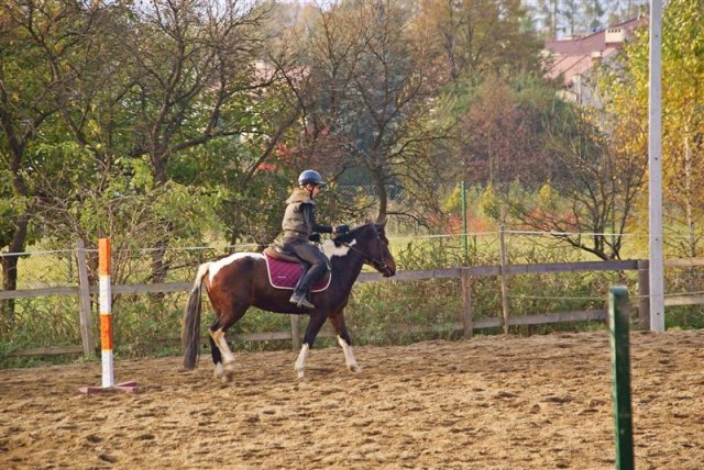Hubertus 2009